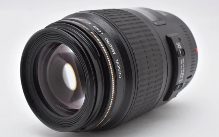 Canon EF 100mm f/2.8 Macro USM ULTRASONIC AF obiettivo principale