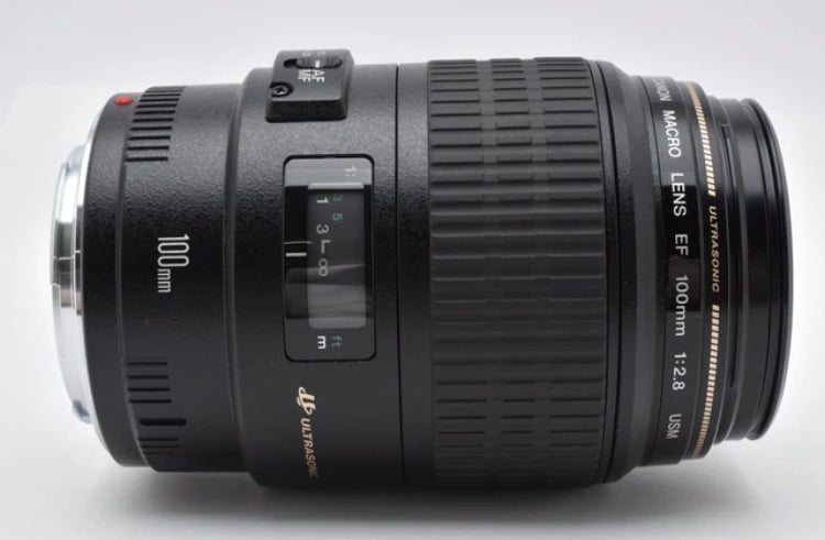Canon EF 100mm f/2.8 Macro USM ULTRASONIC AF obiettivo principale