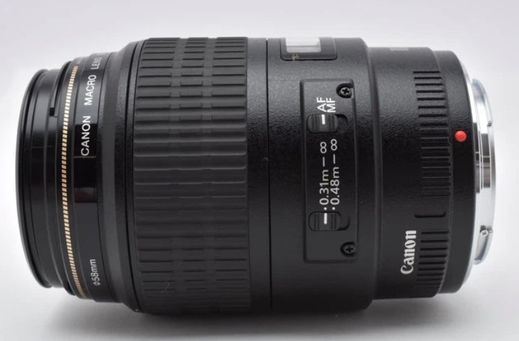 Canon EF 100mm f/2.8 Macro USM ULTRASONIC AF obiettivo principale